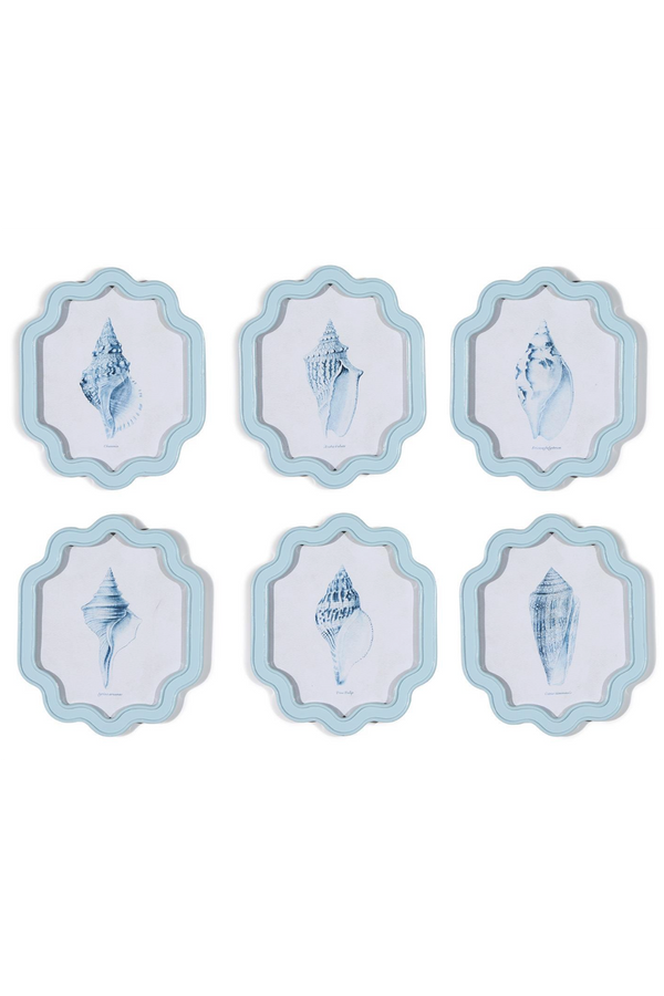 Shell Wall Art - Light Blue