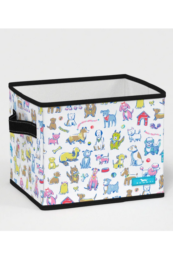 Hang 10 Small Storage Bin - "Best in Show" SP26