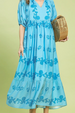 Vine Strippling Print Maxi Dress - Chambray