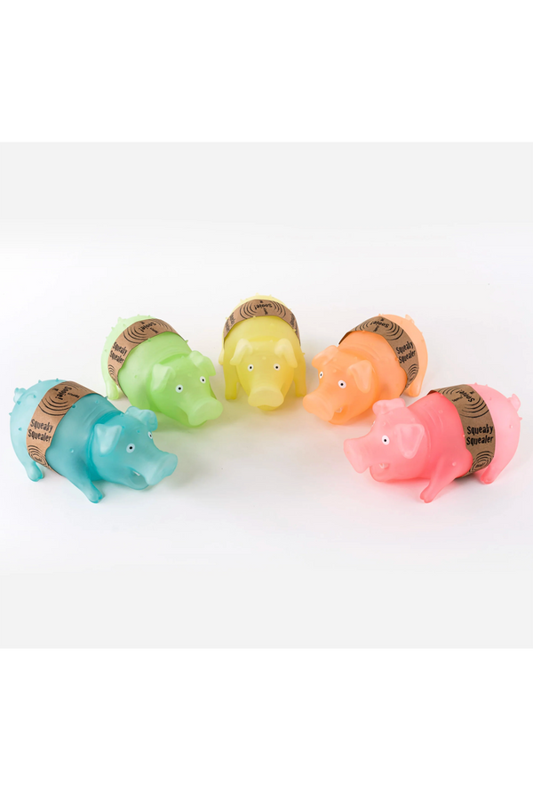 Squeaky Pig Toy