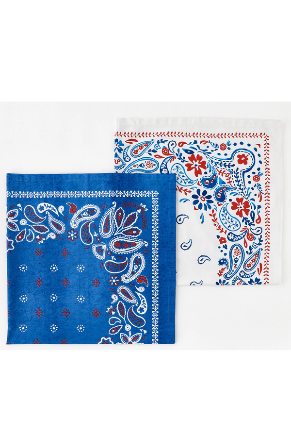 American Holiday Picnic Cloth