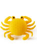 Sea Life Water Toy