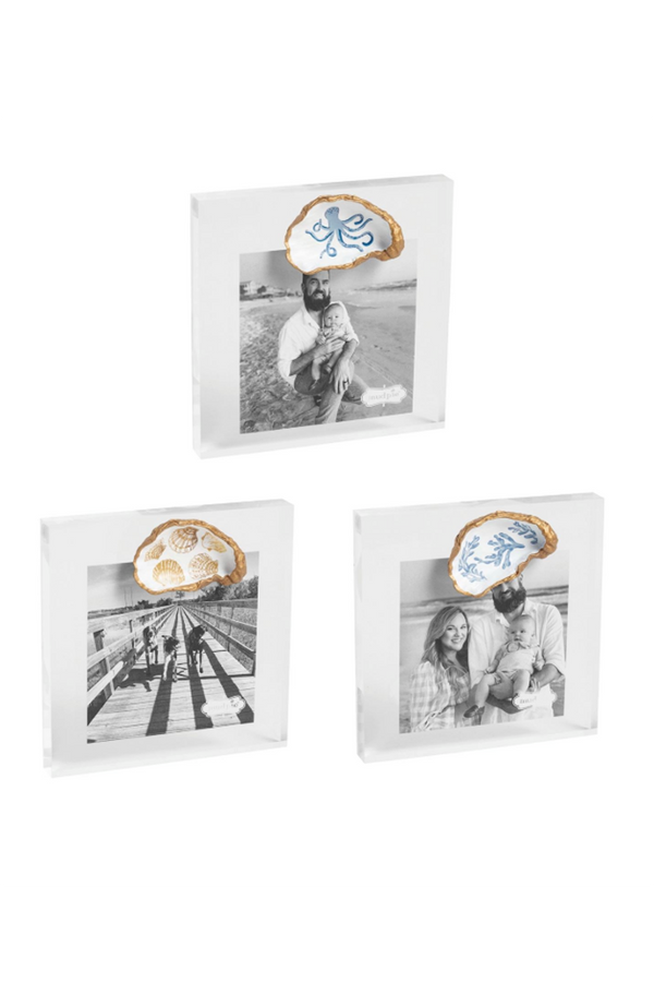 Acrylic Mini Oyster Shell Frame