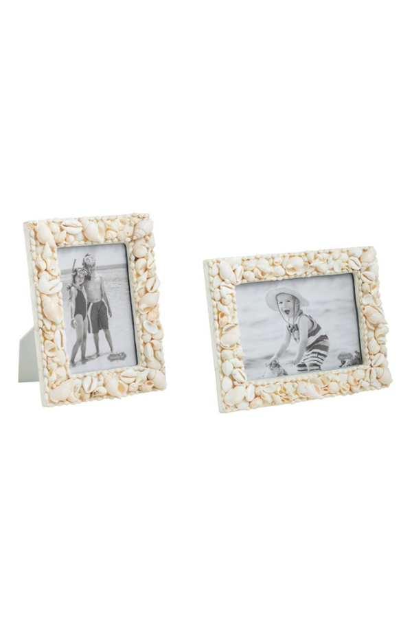 Seashell Frame