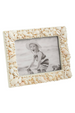 Seashell Frame