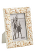 Seashell Frame