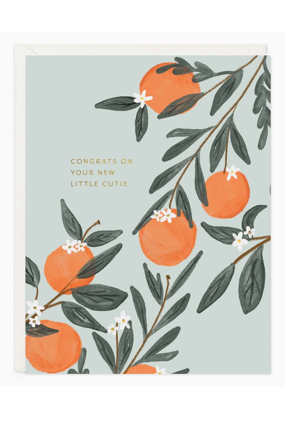RR Baby Greeting Card - Cutie