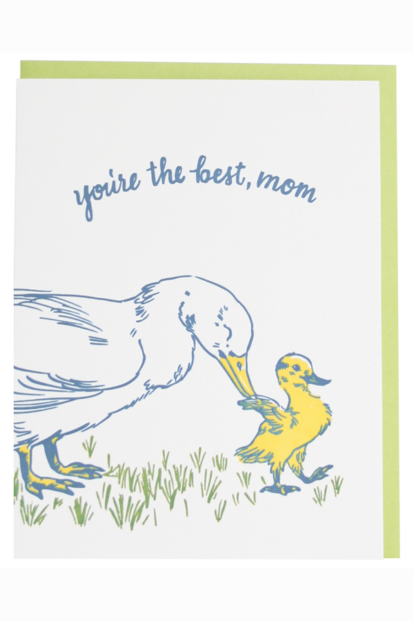 Smudgey Greeting Card - Mother's Day Duck and Duckling