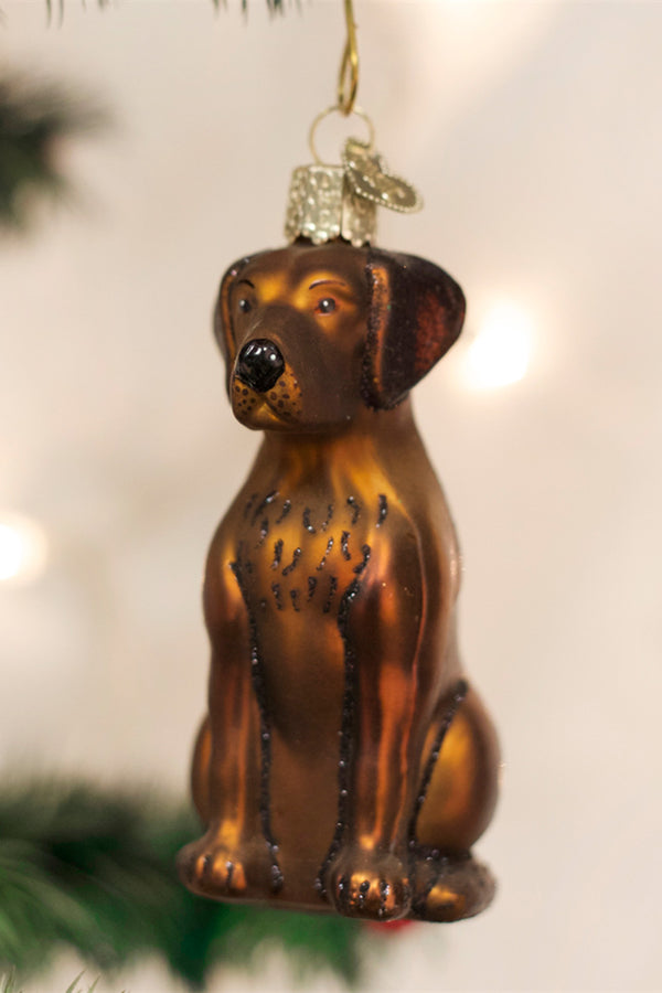 Glass Ornament - Chocolate Lab