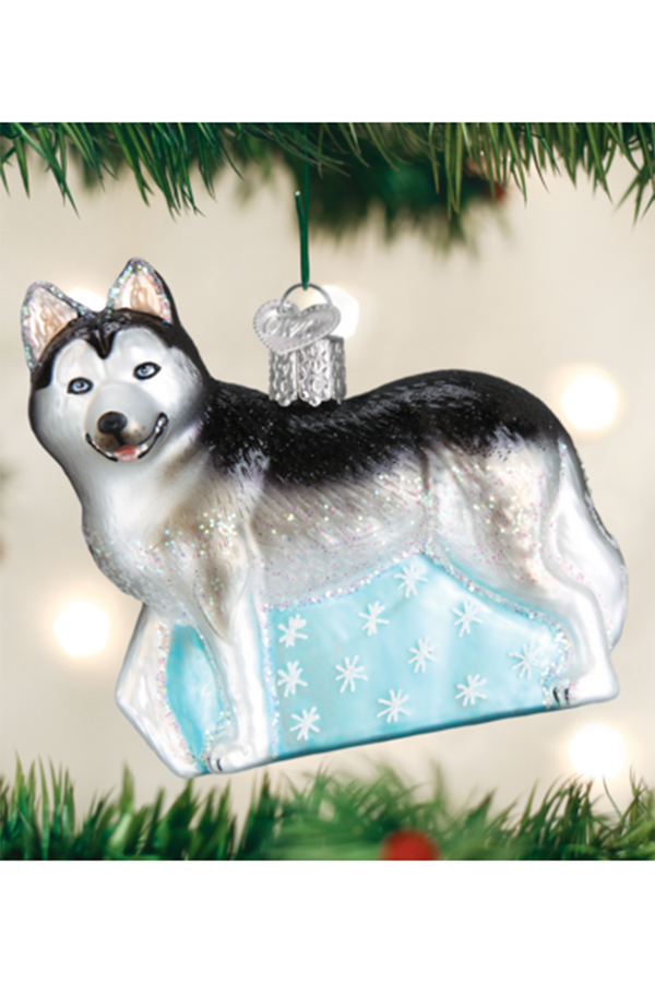 Glass Ornament - Siberian Husky