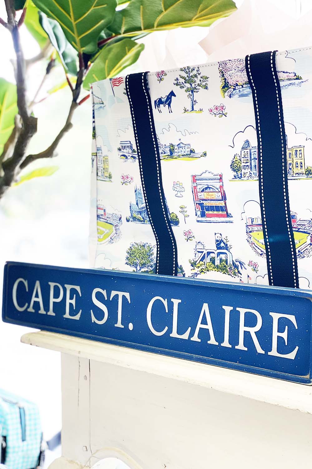 Local Places Wooden Sign - Cape St. Claire