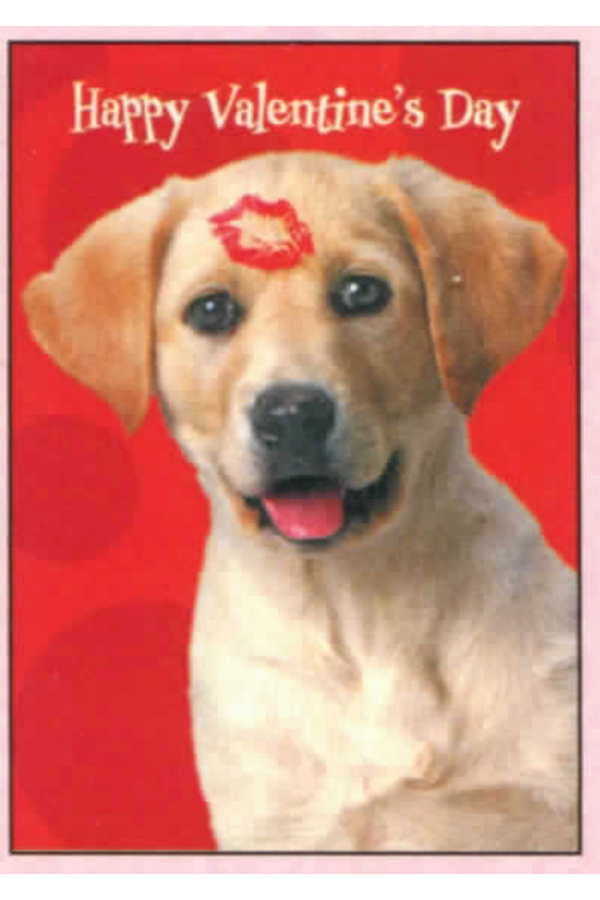 Single Valentine's Day Card - Dog Kiss