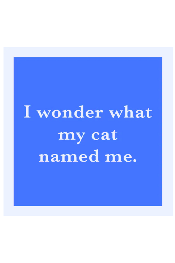 Humor Coaster - Cat Named Me