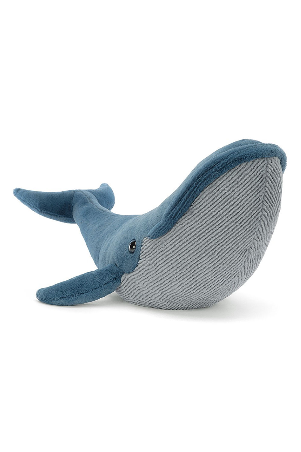 Gilbert Great Blue Whale