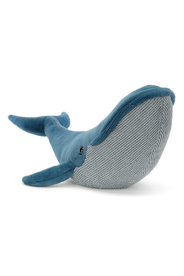 Gilbert Great Blue Whale