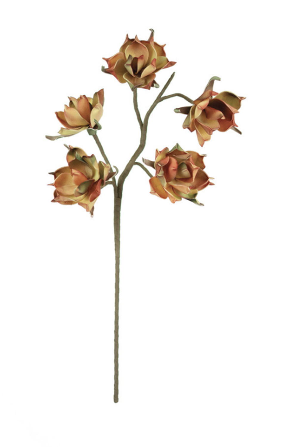 Botanical Wild Blooms Stem 2662