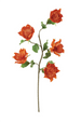 Botanical Rose Floral Stem 3404