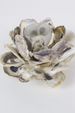 Oyster Shell Flower Votive Holder