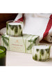 Frasier Fir Double Candle Pack - Mini Pine