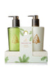 Frasier Fir Sink Set - Lotion & Soap