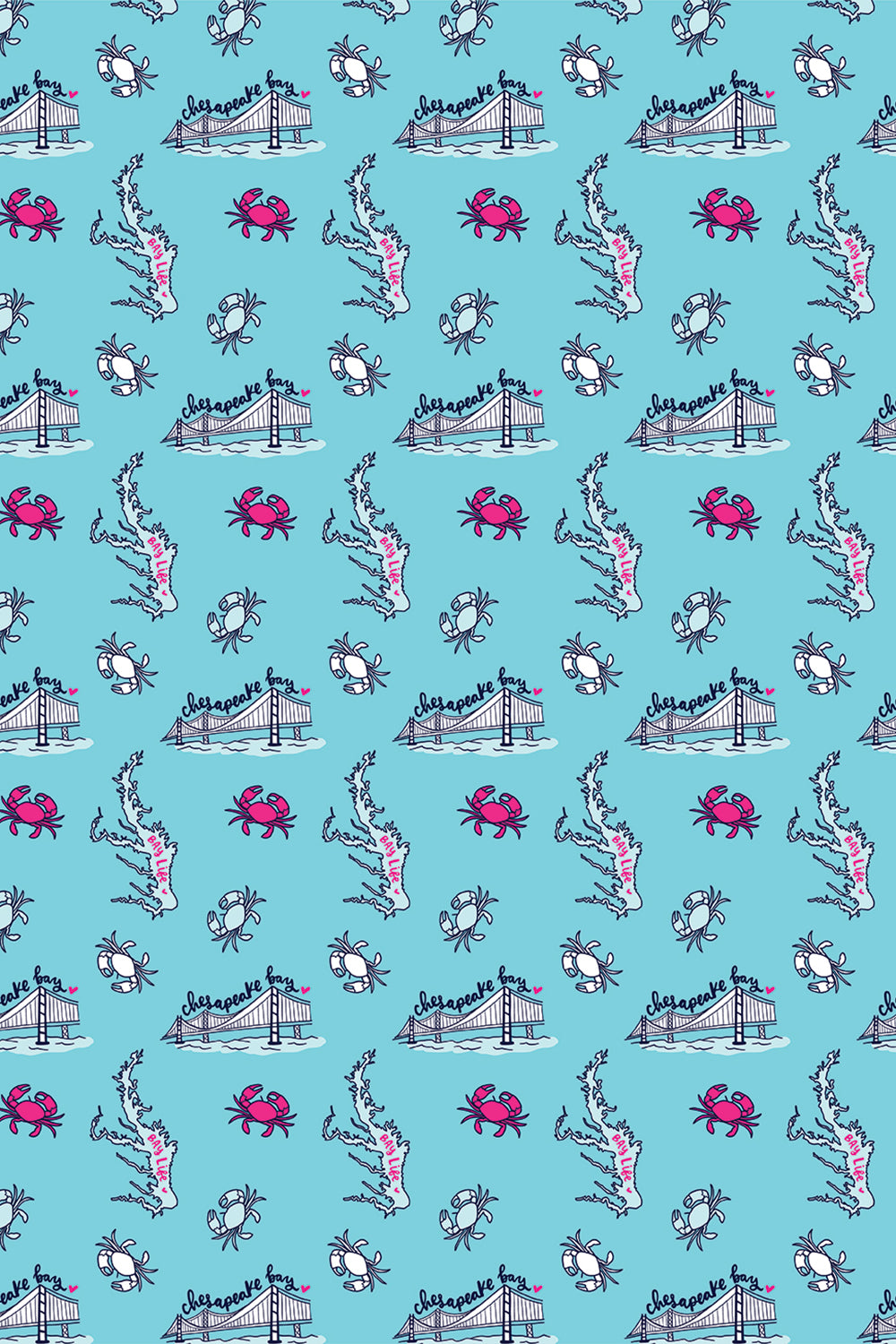 Trendy Wrapping Paper - Chesapeake Bay (Light Blue)