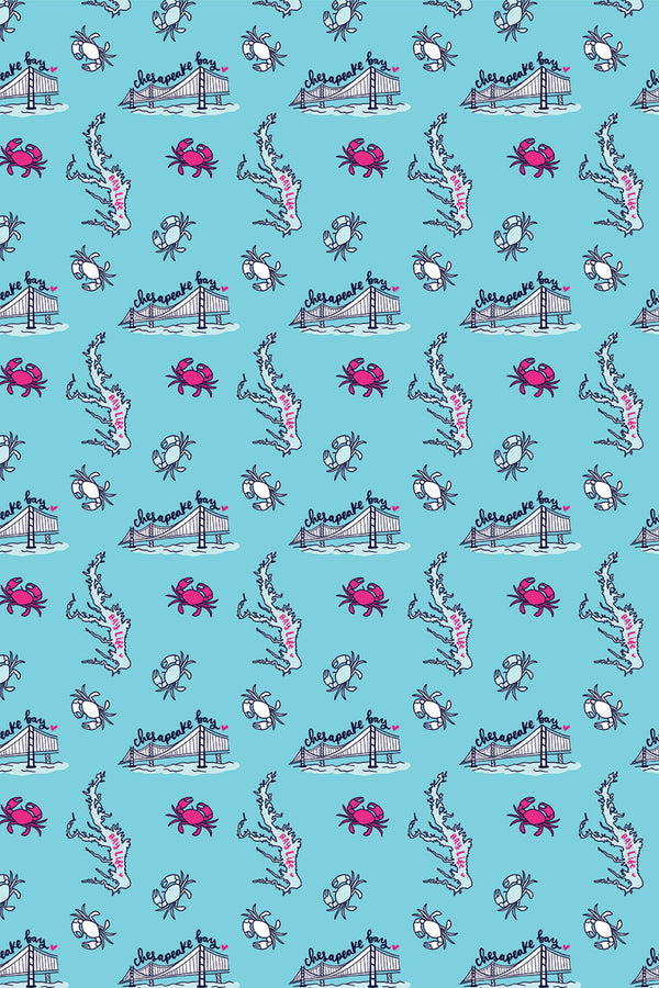 Trendy Wrapping Paper - Chesapeake Bay (Light Blue)