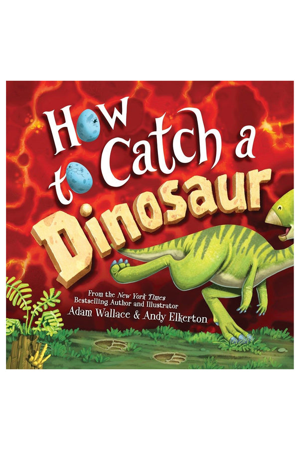 How to Catch a Dinosaur Book